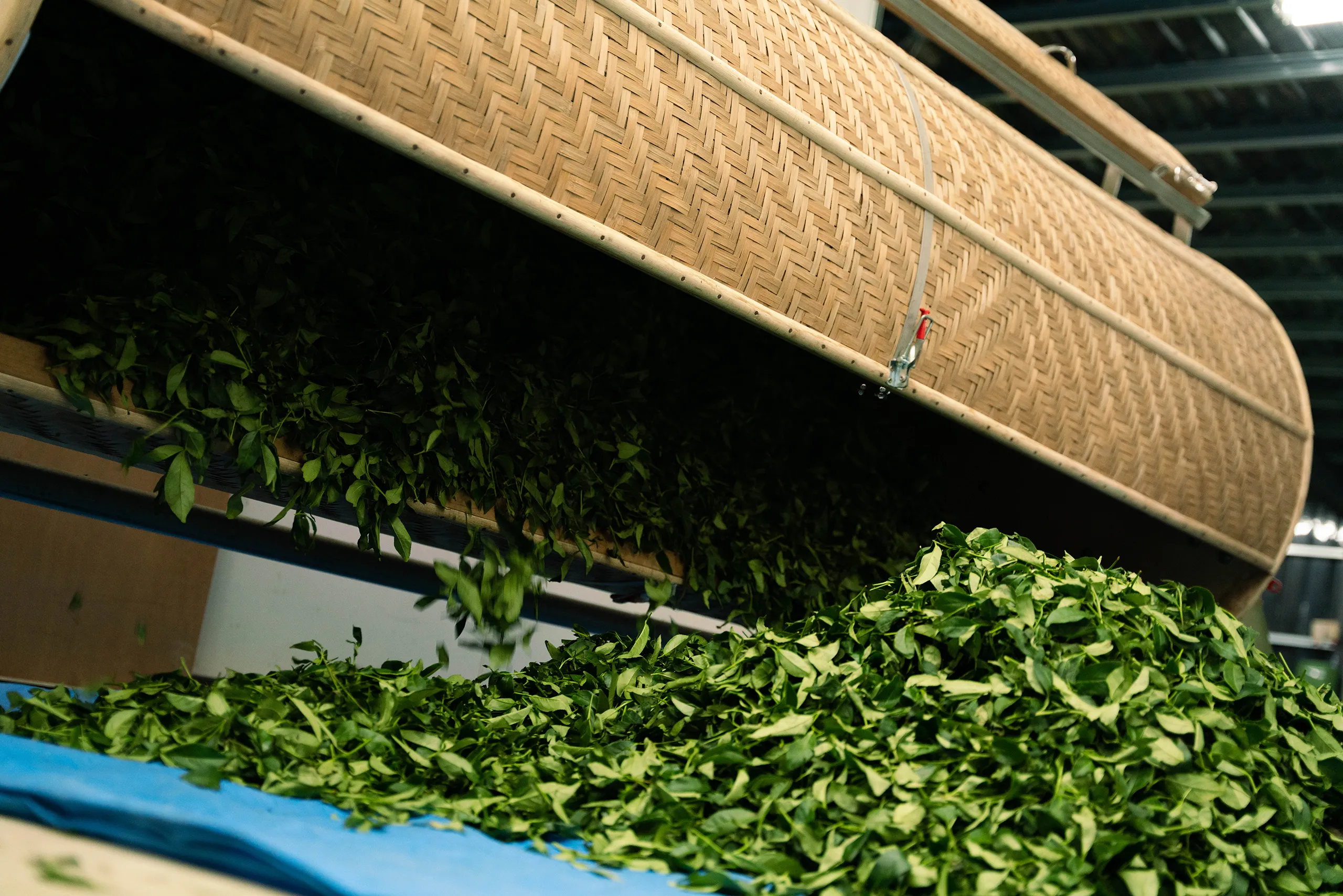 高雄 影像製作 cpx25001 00001