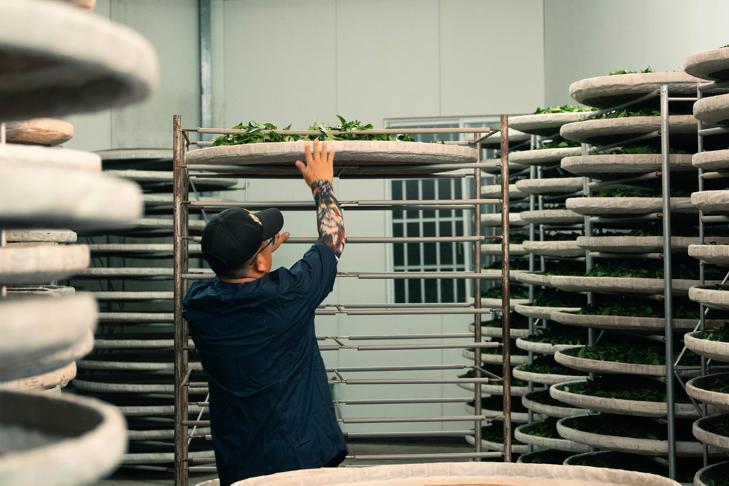 高雄 影像製作 cpx25001 00003