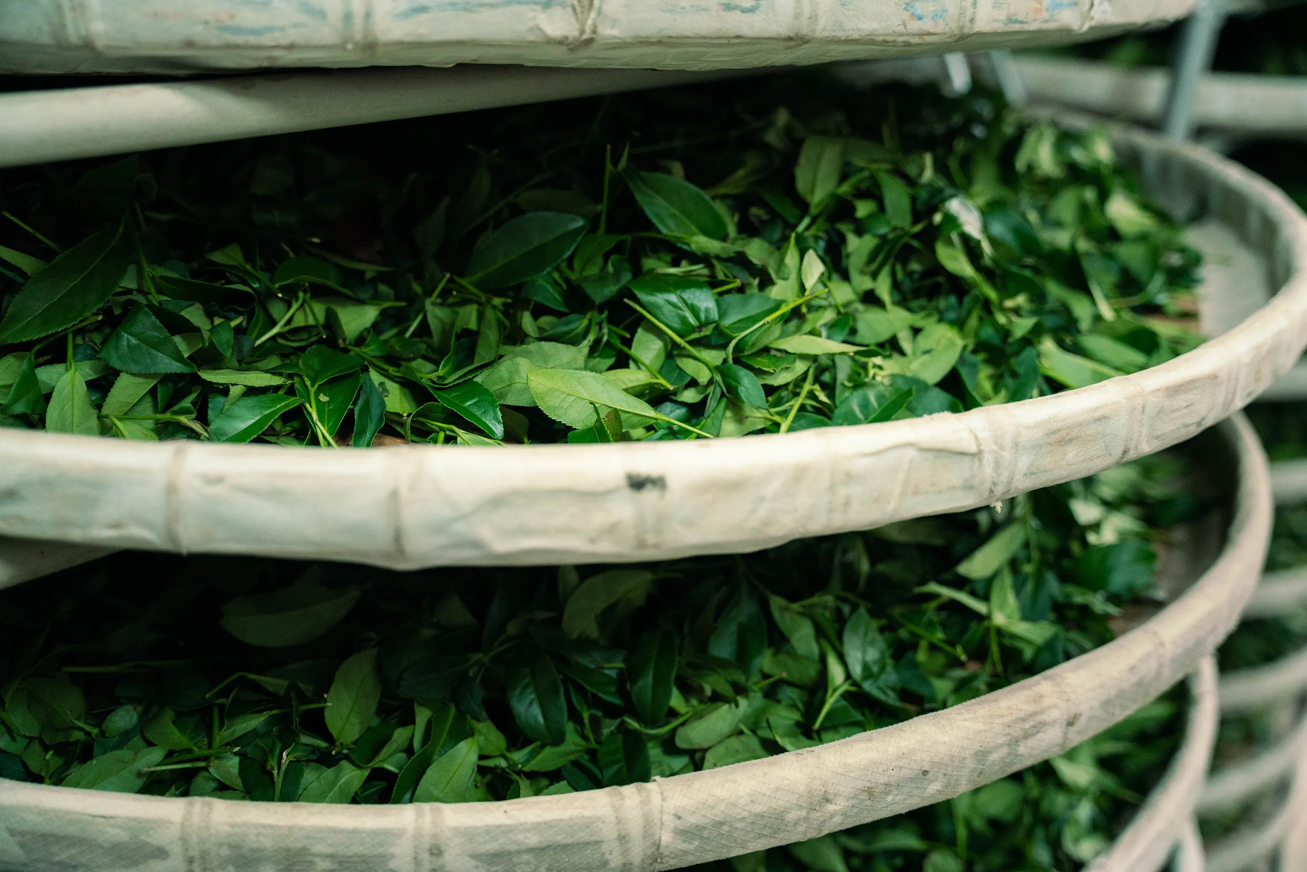 高雄 影像製作 cpx25001 00004