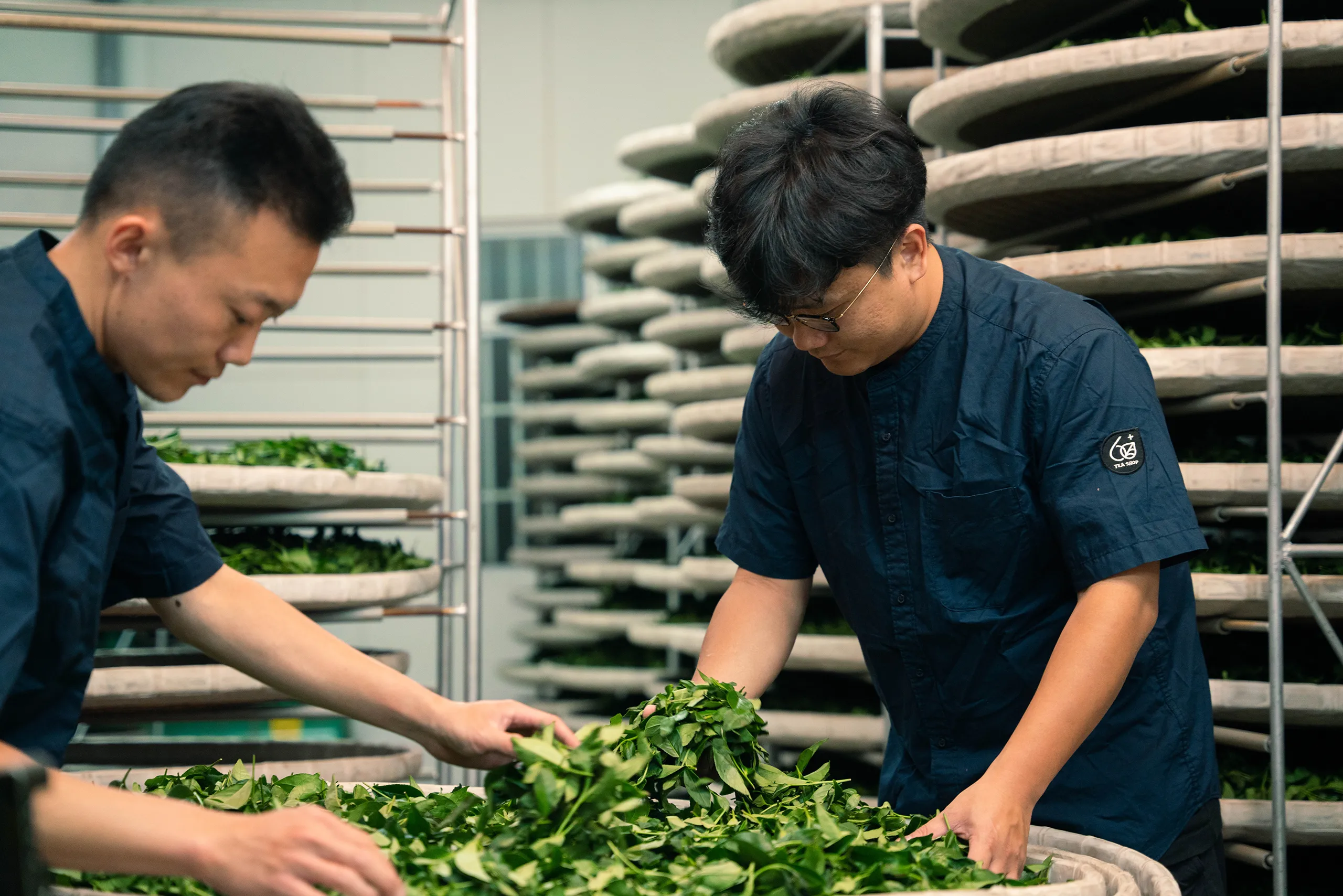 高雄 影像製作 cpx25001 00005