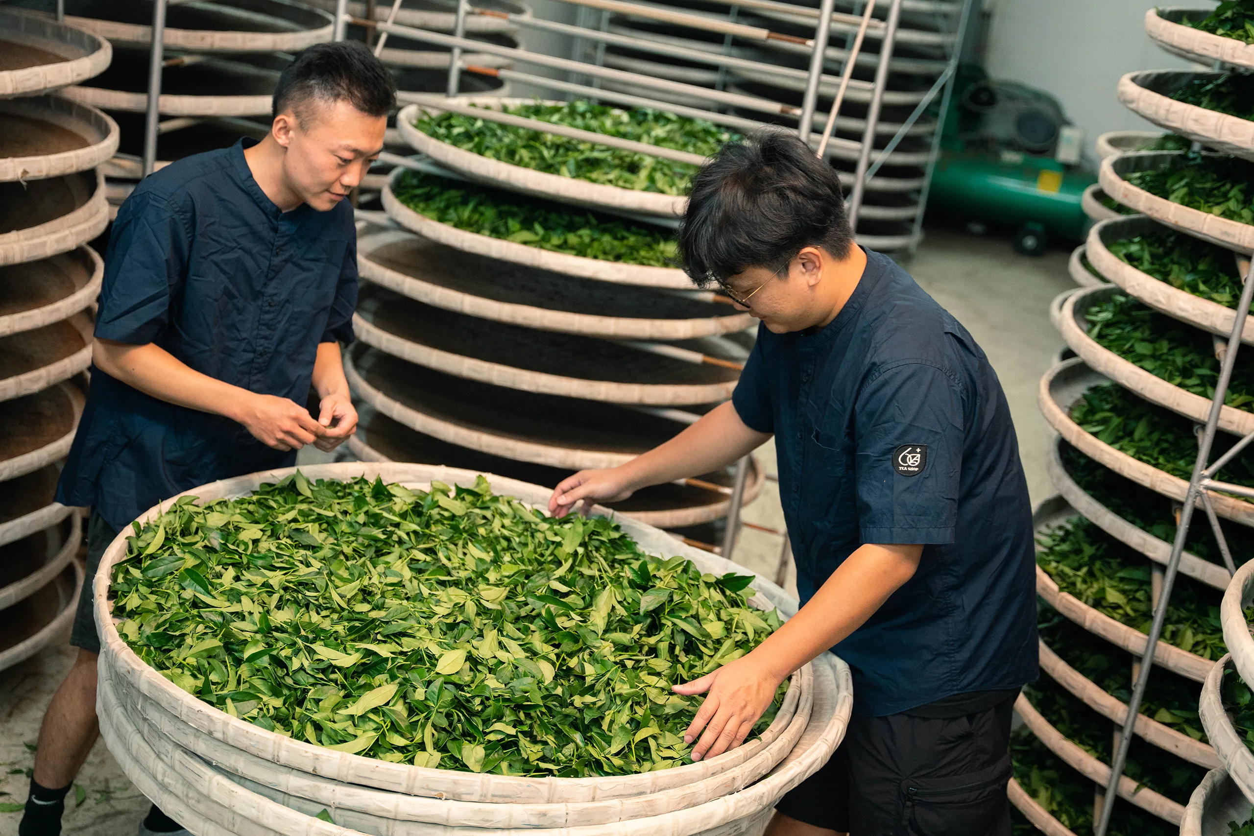 高雄 影像製作 cpx25001 00006