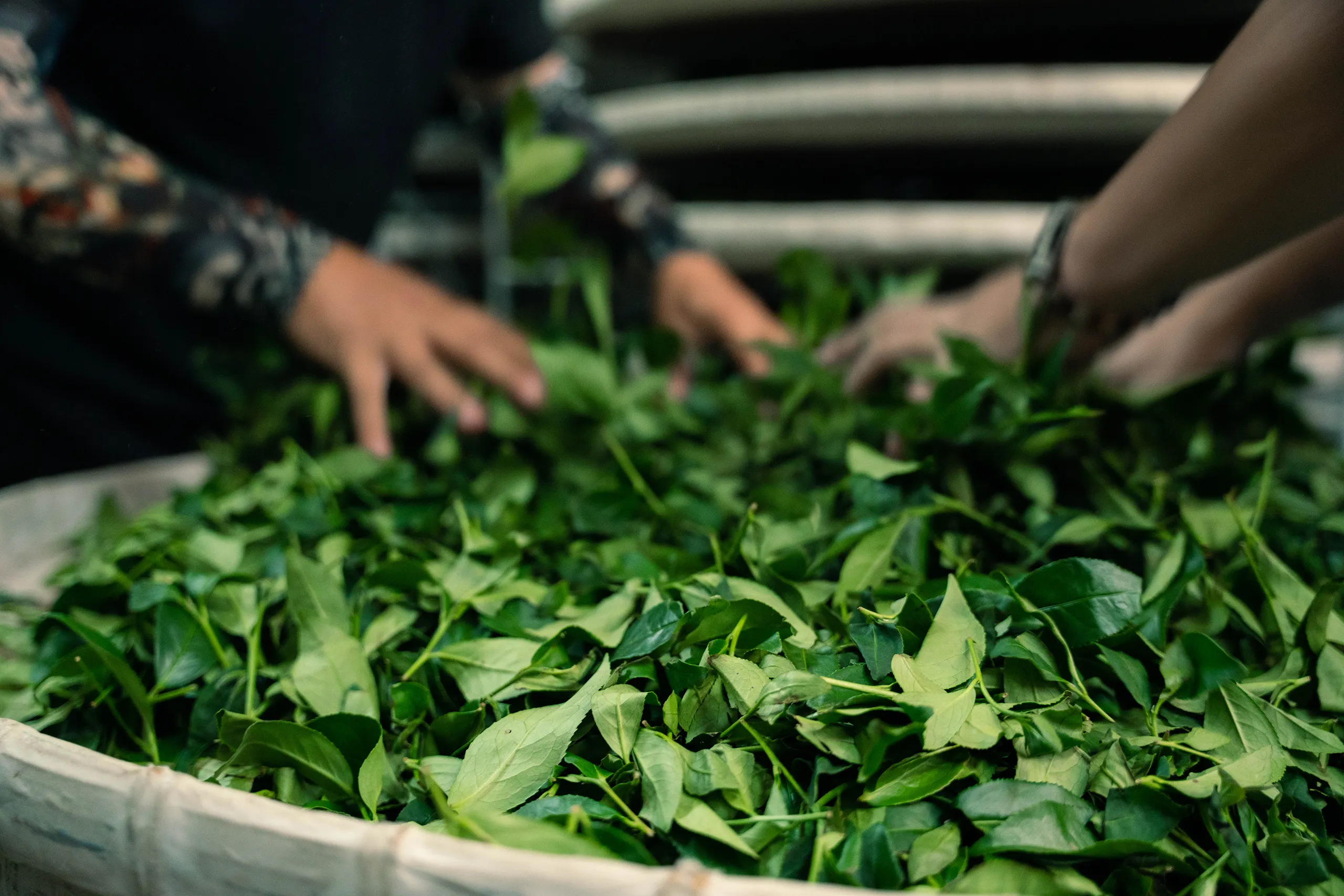 高雄 影像製作 cpx25001 00007