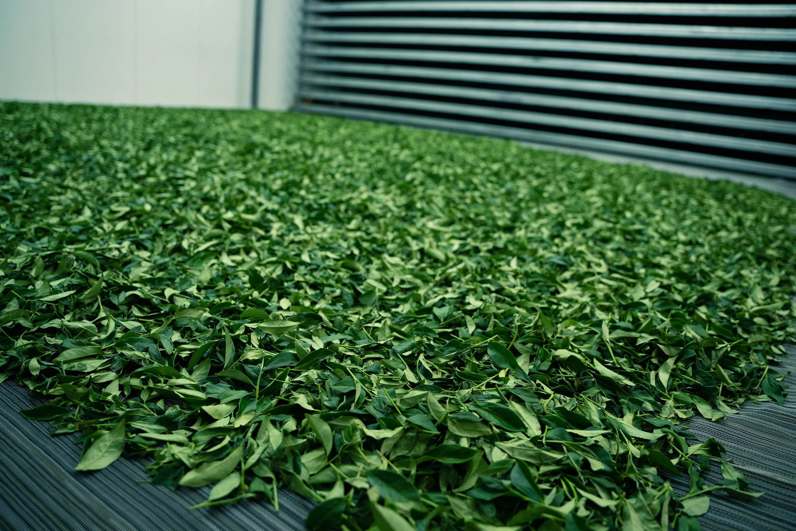 高雄 影像製作 cpx25001 00008