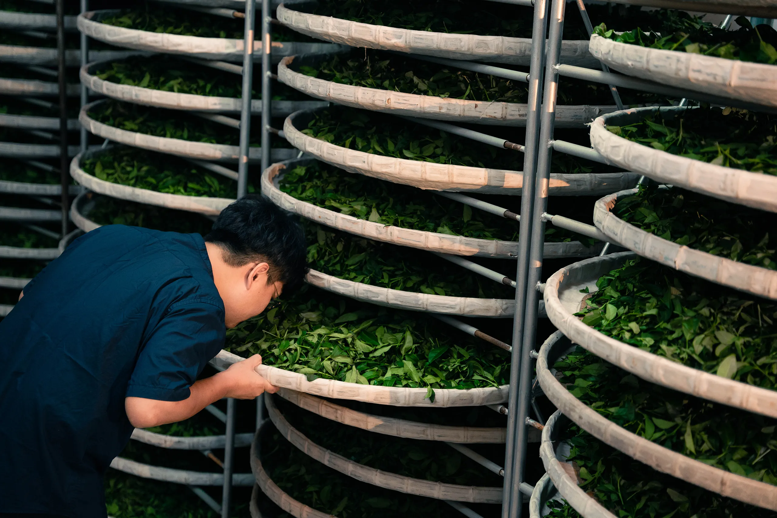 高雄 影像製作 cpx25001 00009