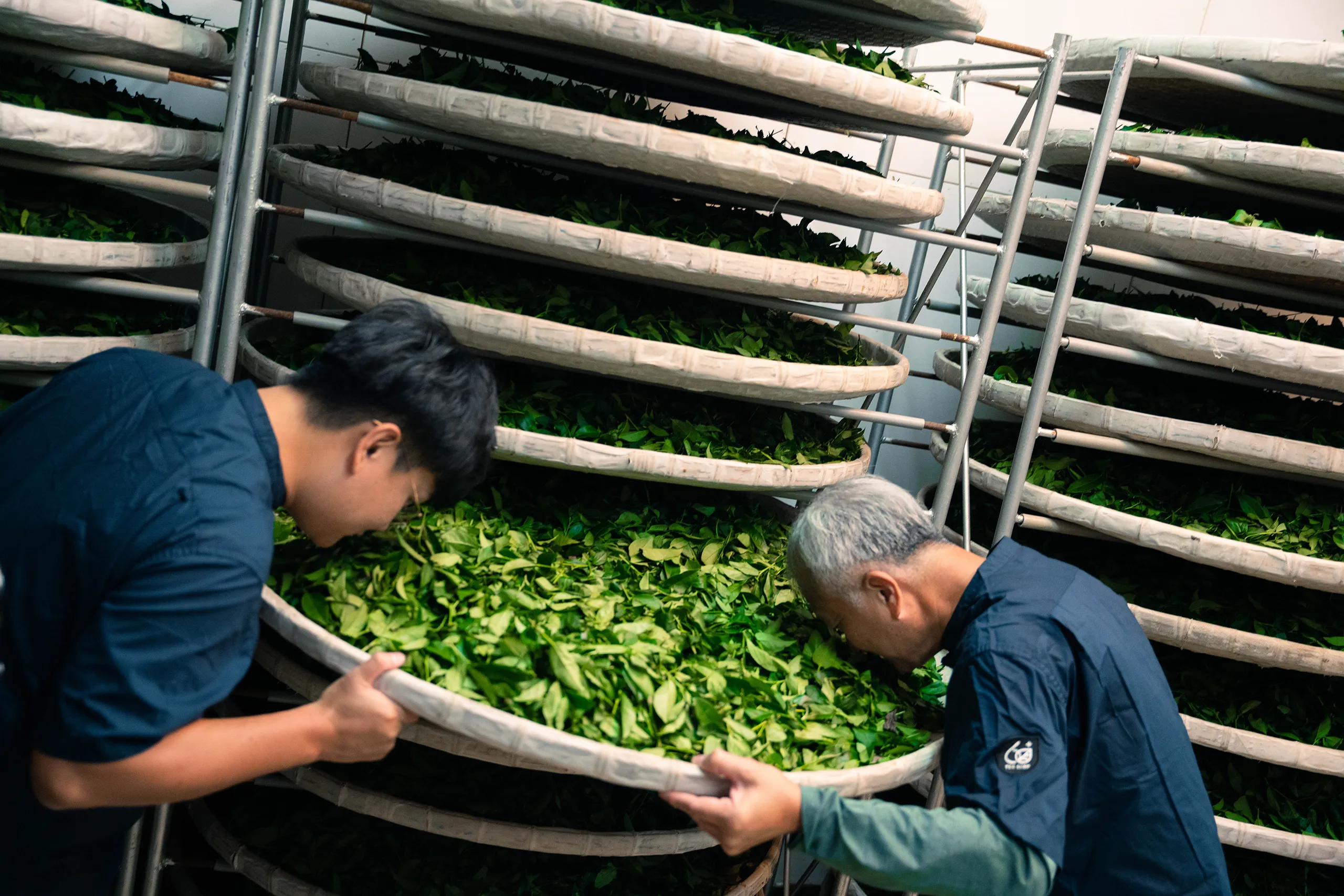 高雄 影像製作 cpx25001 00010