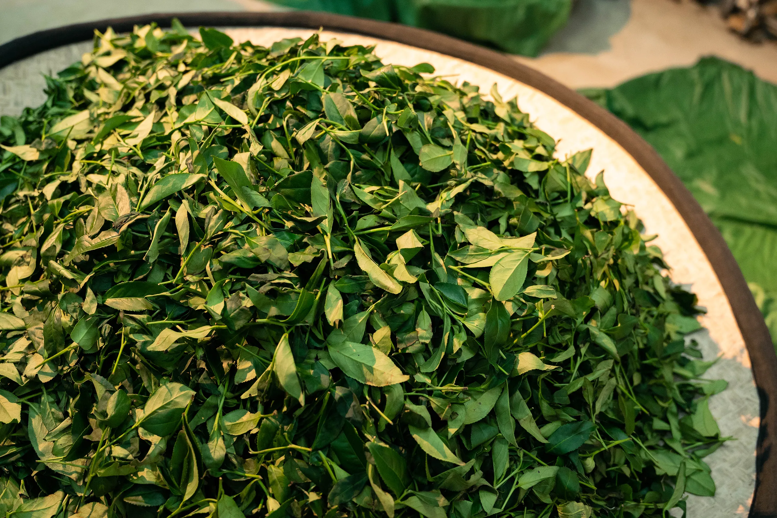 高雄 影像製作 cpx25001 00012