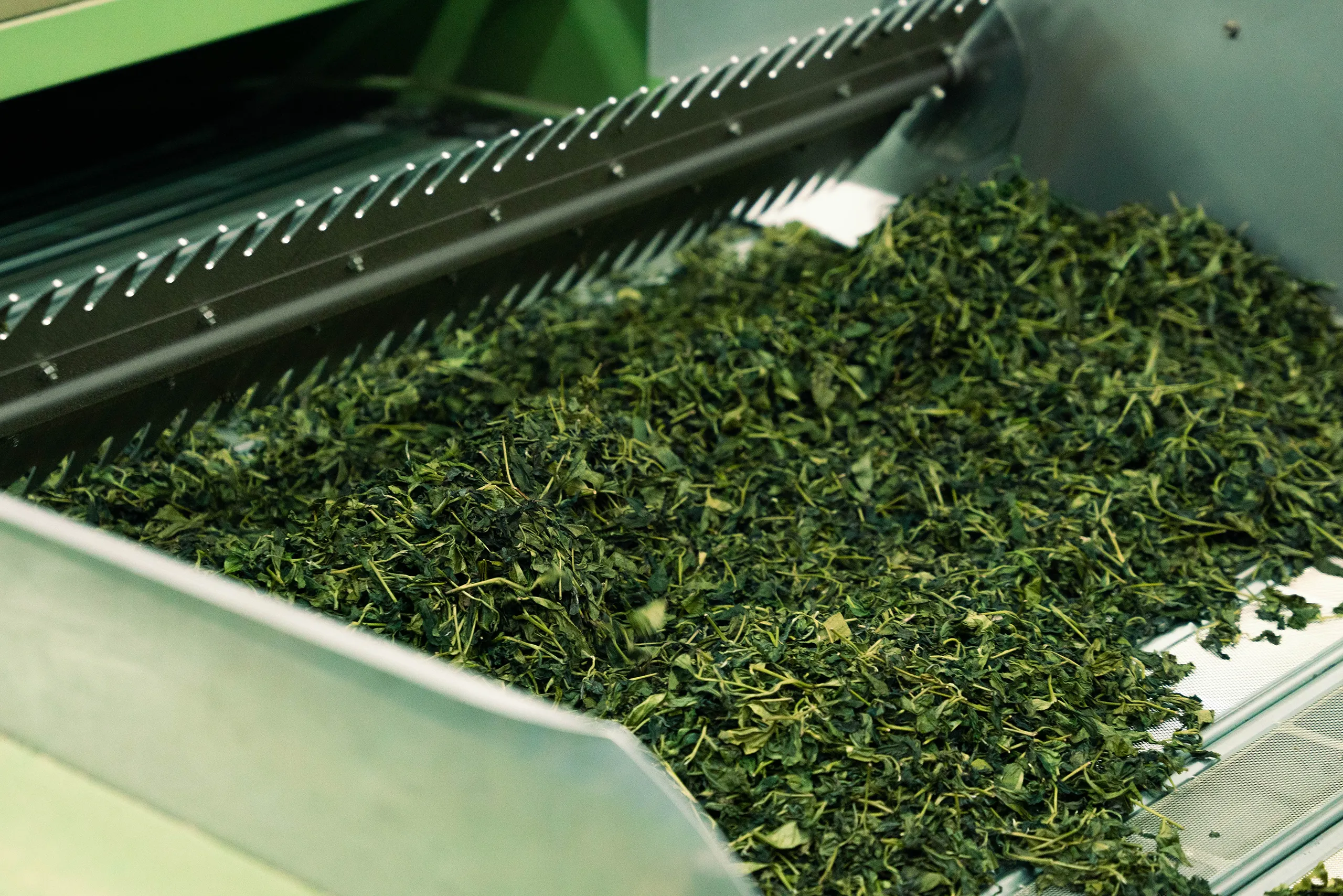 高雄 影像製作 cpx25001 00014