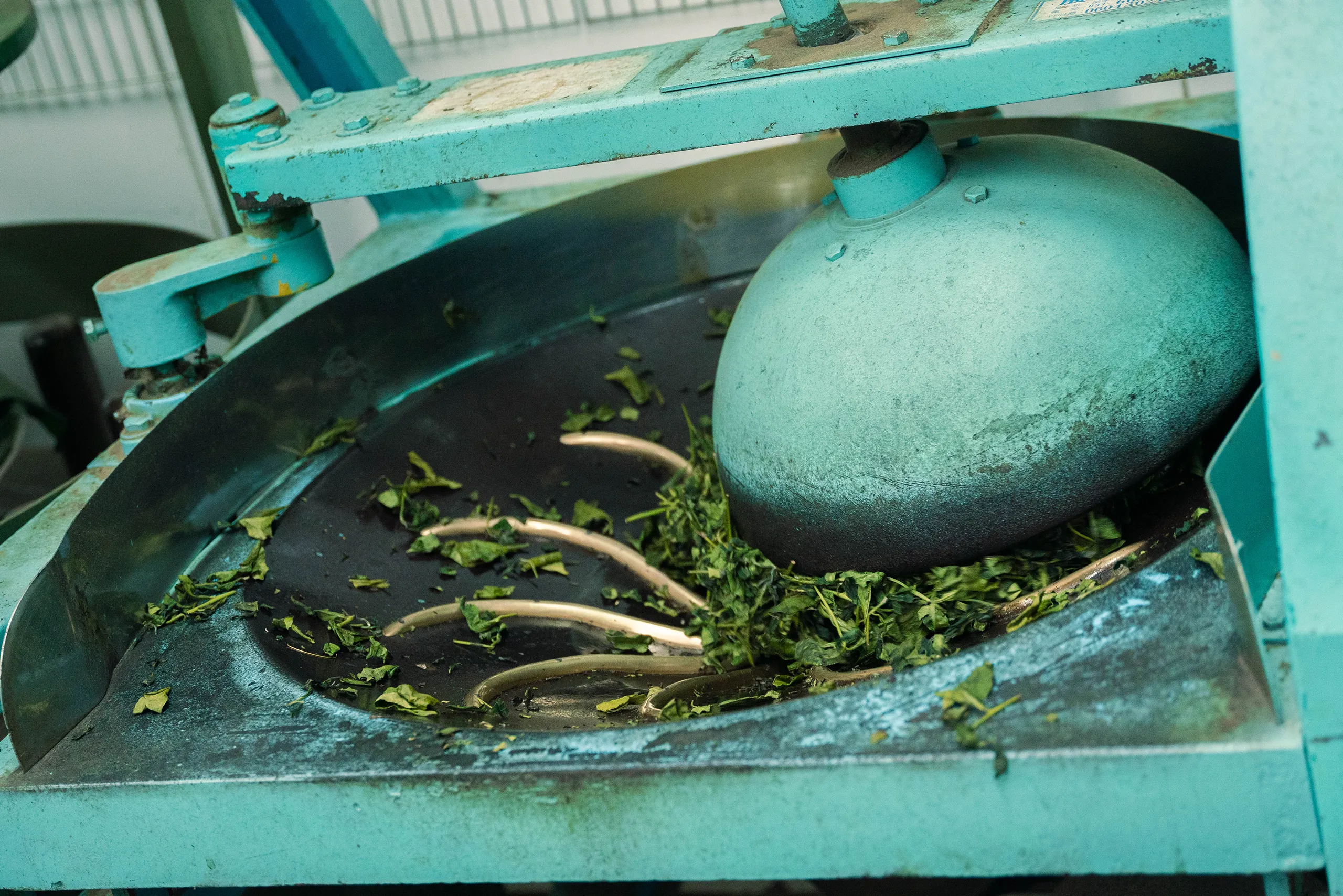 高雄 影像製作 cpx25001 00015