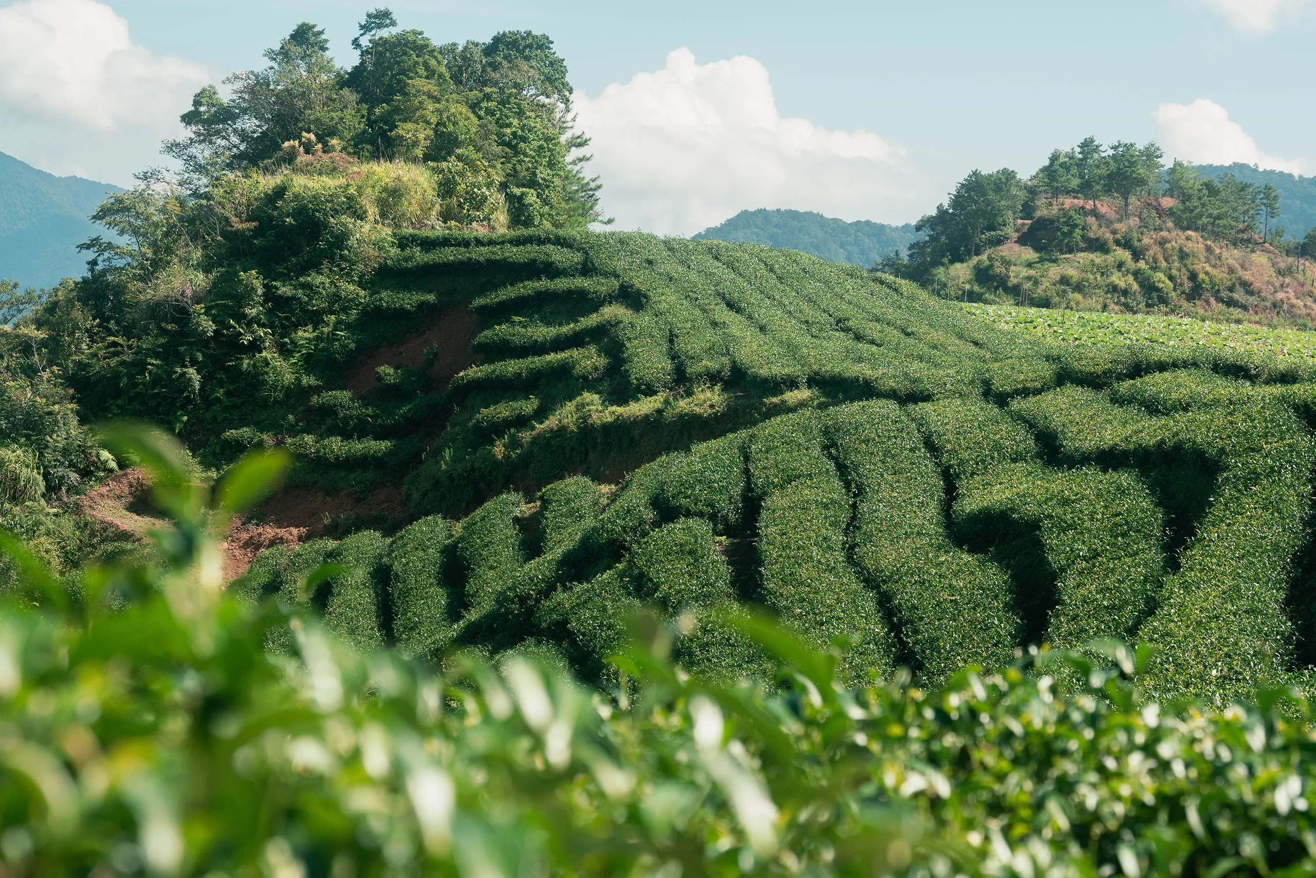 高雄 影像製作 cpx25001 00017