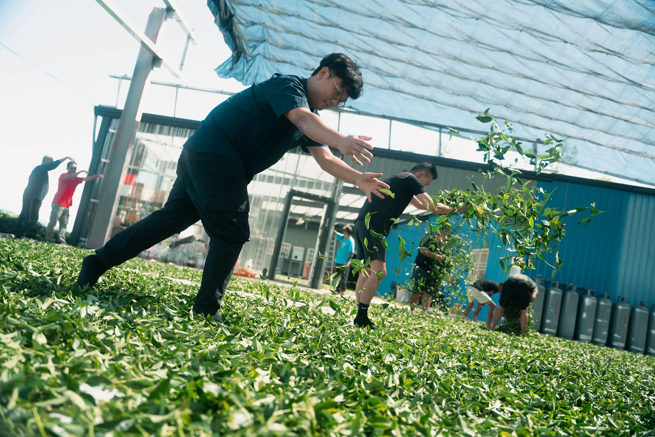 高雄 影像製作 cpx25001 00023