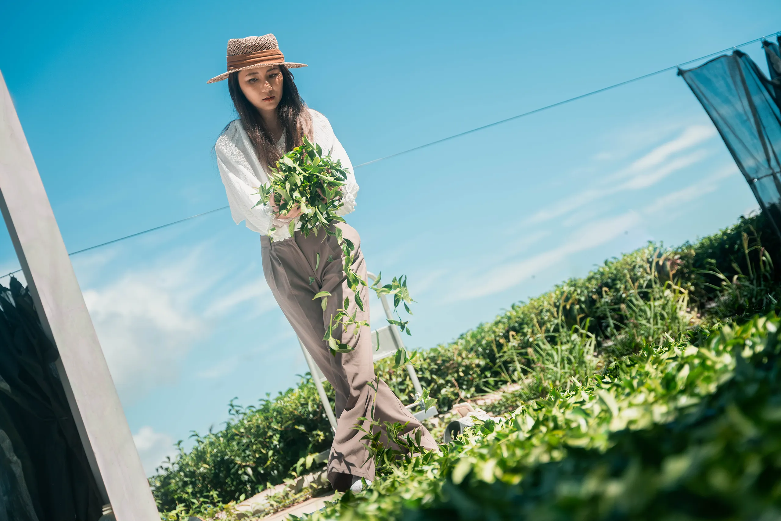 高雄 影像製作 cpx25001 00024