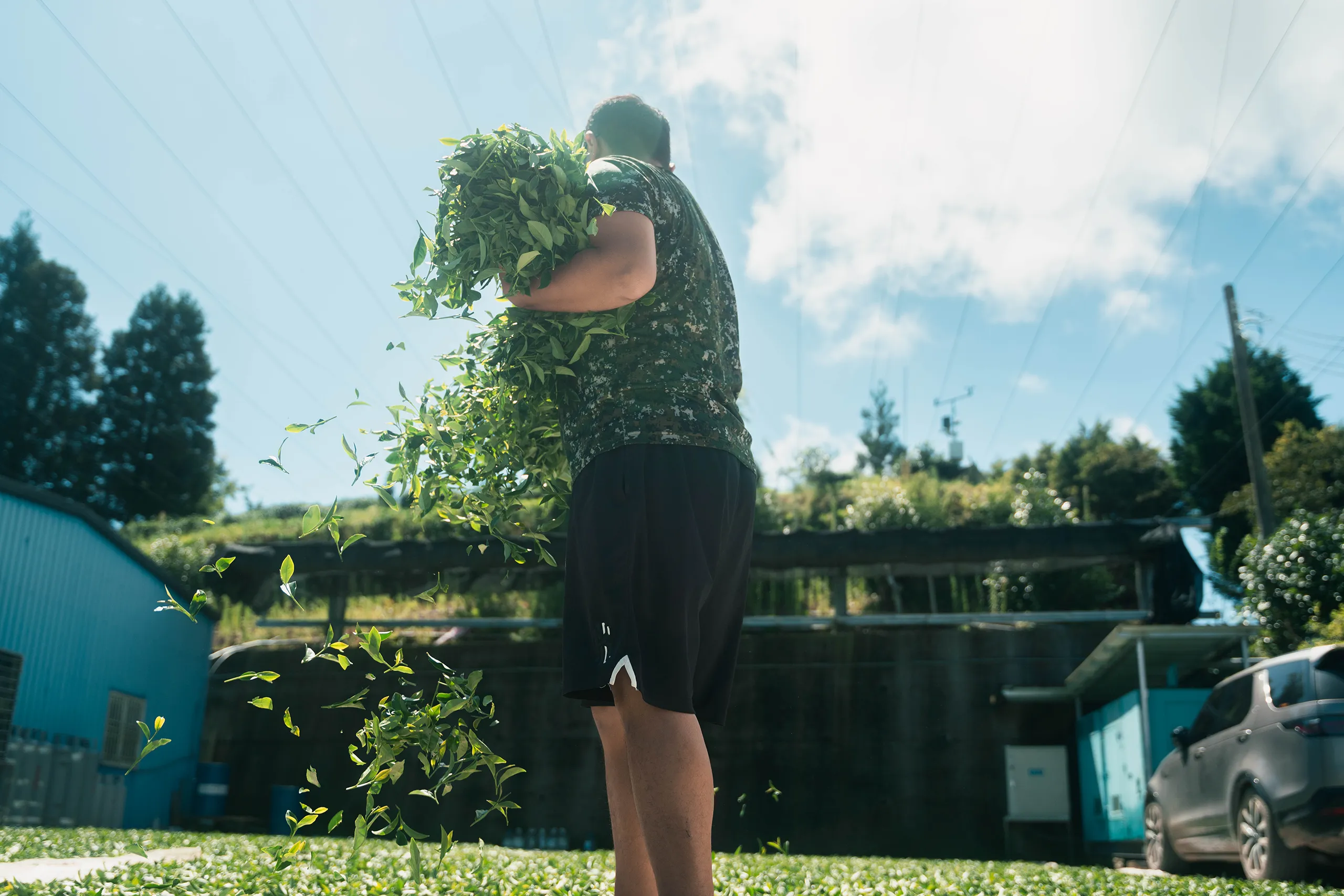 高雄 影像製作 cpx25001 00025