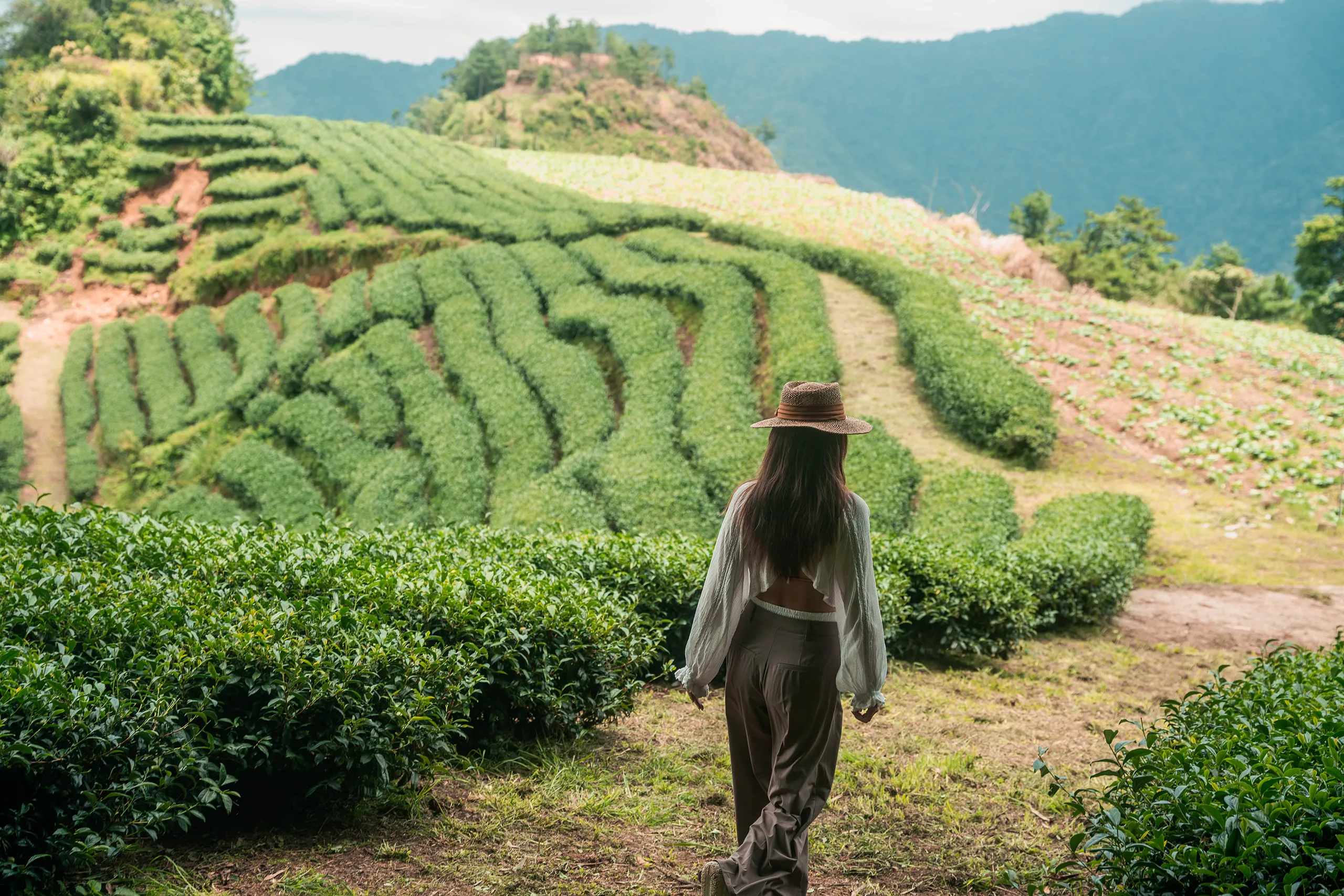 高雄 影像製作 cpx25001 00029