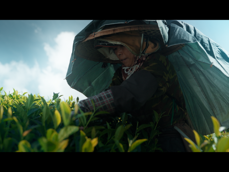 高雄 影像製作 cpx25001 sel005