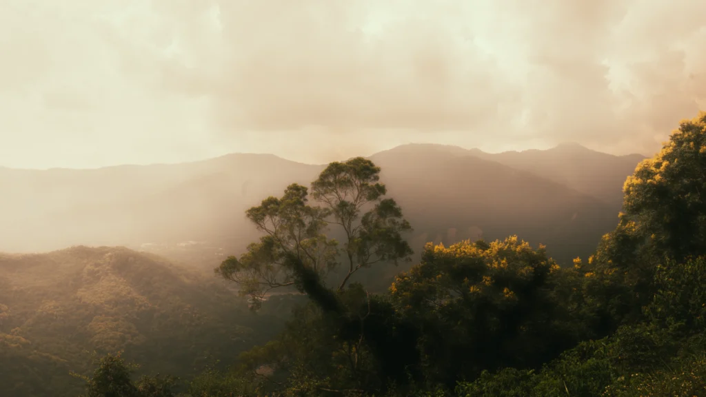 崛目影像 JM Film-高雄-影像製作-器材租借-jmfilm02