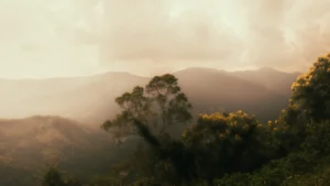 崛目影像 JM Film-高雄-影像製作-器材租借-jmfilm02