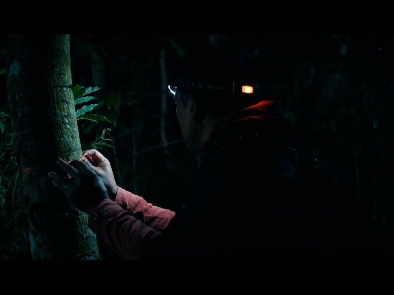 高雄 影像製作 dyn23003 sel003