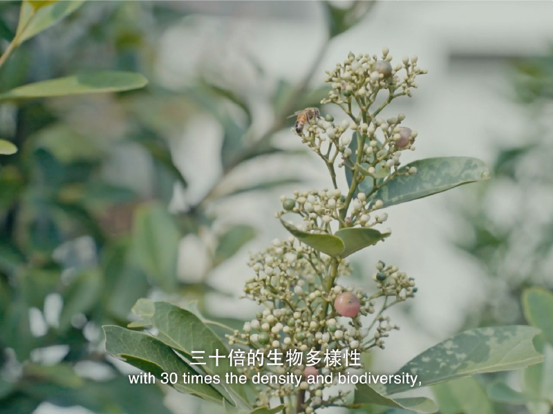 高雄 影像製作 dyn24002 sel002