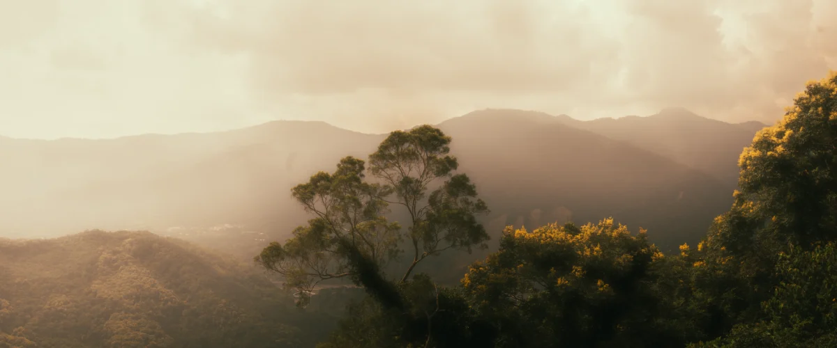 崛目影像 JM Film-高雄-影像製作-器材租借-jmfilm02